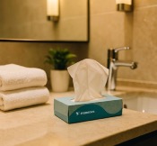 Mouchoirs 'Hôtellerie' PROP blancs 2 plis 20,4 x 20 cm Ecolabel