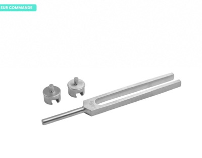 Diapason, AVEC curseur, n°1024 VD, 13 cm